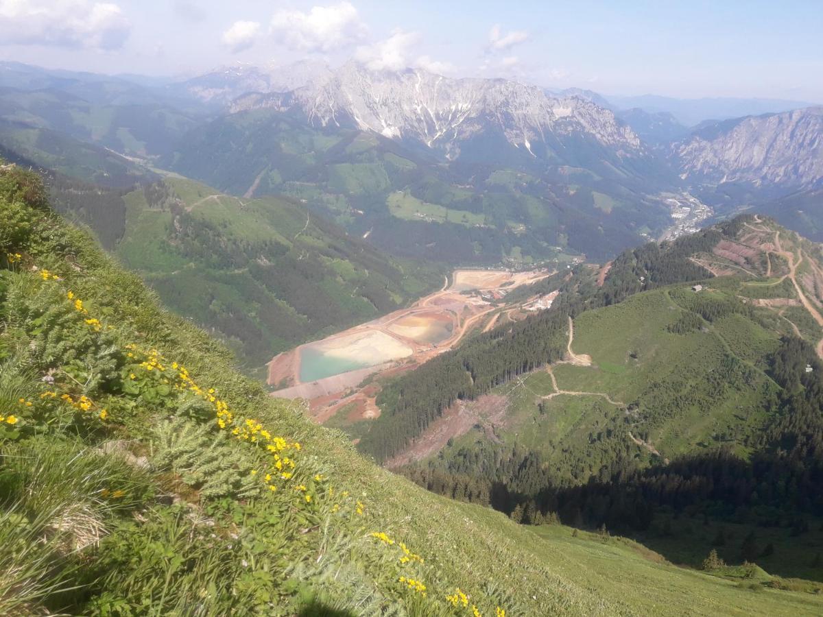 Auszeit Steiraland 7 Mit Ueberdachten Balkon Und Parkplatz Leoben  Exteriér fotografie